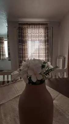 a vase with white flowers in a living room at Vespucci Holiday in Casteldaccia