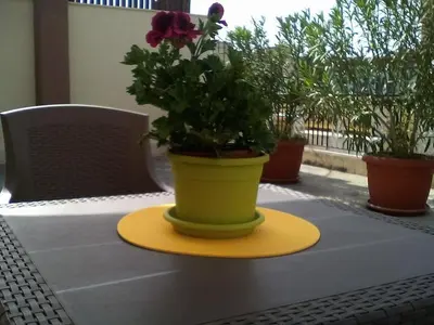 a green plant in a yellow pot on a table at Il Terrazzo Di Oleandri in Bagheria