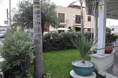 a plant in a blue pot sitting in a yard at Athena Bed & Breakfast in San Vito lo Capo
