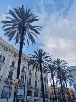 a group of palm trees in front of a building at Terrazza San Domenico in Palermo