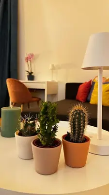 a group of five plants on a table at Merlo Holiday Homes Siviglia in Palermo
