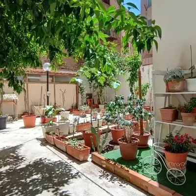 Tati's Garden
