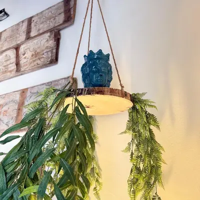 a hanging lamp with a plant in a room at Donna Isabella a Ballarò in Palermo