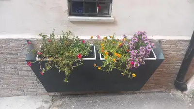 three flowers in a black planter on a wall at Casa Doriana in Palermo