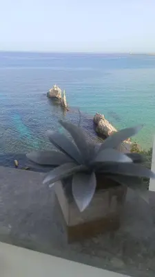 a plant in a window with a view of the ocean at NONNA ADRIANA in Terrasini