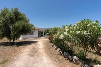a road leading to a house with trees and flowers at Casa gli Oleandri in Castellammare del Golfo