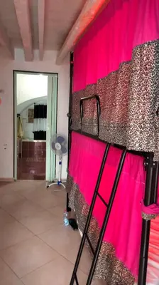 a cat sitting in front of a wall with pink curtains at Ostello Exclusive Dependance in Palermo
