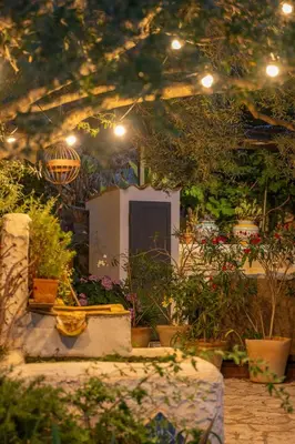 a garden with potted plants and a door with lights at B&B Tre Giummare in Scopello