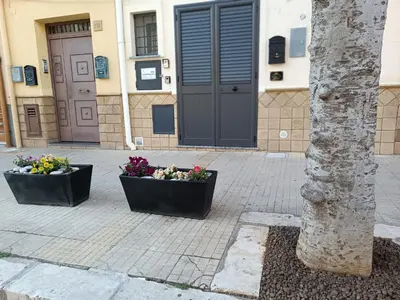 two pots of flowers in front of a building at Lannari 176 Casa vacanze Bagheria in Bagheria