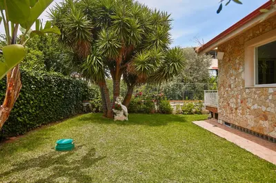 a yard with two palm trees and a house at Villa laura in Palermo