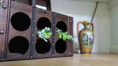 a wooden box with a plant in it next to a vase at Cappuccini 145 R&P -Parcheggio gratis-Centro Storico-Cattedrale in Palermo
