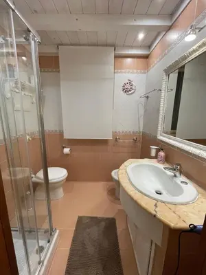 a bathroom with a sink and a toilet and a shower at FINESTRA SUL MARE in Palermo