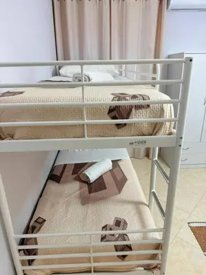 a bunk bed with a dog on the bottom bunk at Casa Julia in Palermo