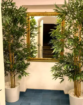 a mirror in a hallway with two potted plants at Due Sicilie Ballarò in Palermo