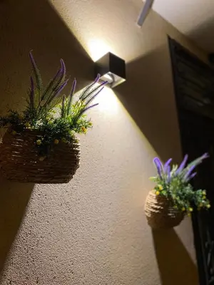 two plants in baskets hanging on a wall at Holiday home Joy in Palermo