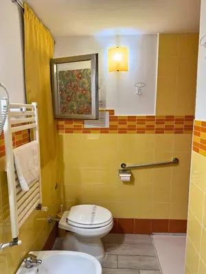 a bathroom with a toilet and a sink at Orange Lemon Center Palermo in Palermo