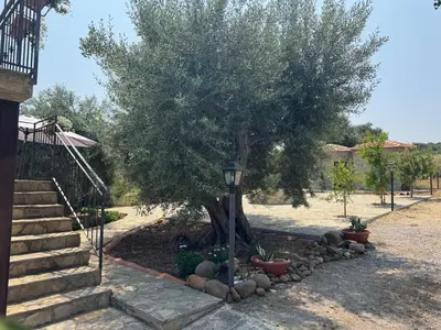 a tree sitting next to a set of stairs at Le Casette di campagna #2 in Campofelice di Roccella