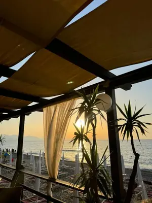 a view of a beach with palm trees and the ocean at Le Casette di campagna #2 in Campofelice di Roccella