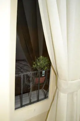 a window with a plant in a pot on a table at B&B Paolo e Mariella in Palermo