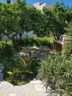 a garden with trees and plants on a sidewalk at casa cocos in San Vito lo Capo