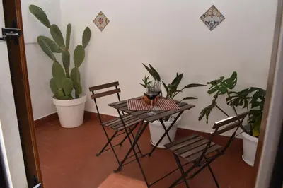 a table with chairs and plants in a room at Kanat Apartment in Palermo