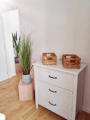 a living room with a tv on a stand and plants at N&L Apartments Palermo in Palermo