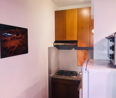 a kitchen with a stove top oven next to a refrigerator at Apartment 