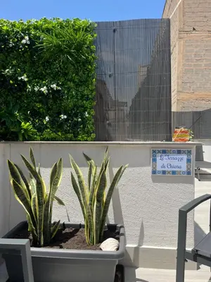 a pair of plants in a planter on a patio at Le Terrazze di Chiara in Palermo