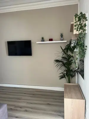 a living room with a tv and a potted plant at Le Terrazze di Chiara in Palermo