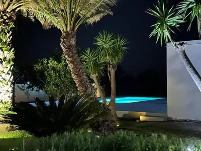 a group of palm trees in a yard at night at Villa Priscilla in Cinisi