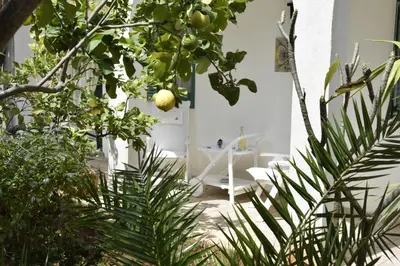 a kitchen with a table and a ceiling fan at Da Silvia, a due passi dal mare in San Vito lo Capo