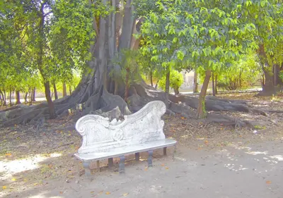 a white bench sitting in front of a tree at Solemar Sicilia - Casa Markiz in Palermo