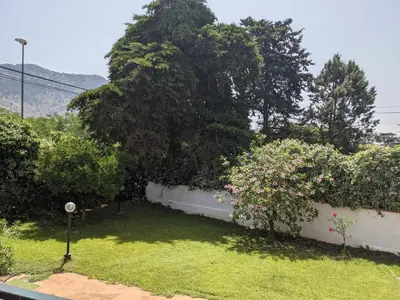 a garden with a fence and a tree at Rosalba apartments - cheap and characteristic in Palermo