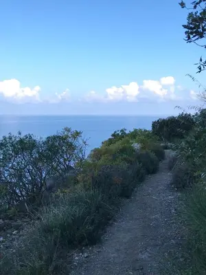 a dirt trail with the ocean in the background at Casa a Mare La Stalletta in Palermo