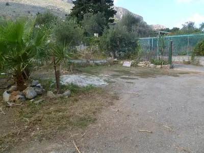 a garden with a palm tree and a fence at The Garden in Sferracavallo