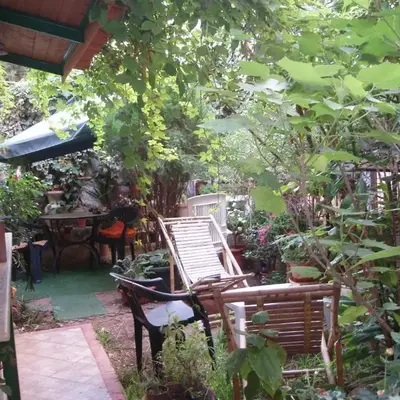 The Garden