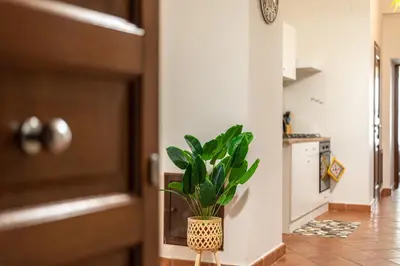a plant sitting on a stand next to a door at Good Vibes apartment nel centro storico in Palermo