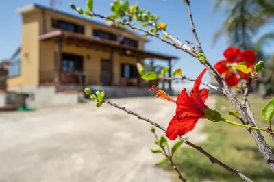 a red flower on a tree in front of a house at Villa Panorama in Trappeto