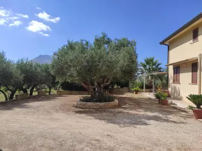 a gravel driveway with a tree in front of a building at Villa Donna Franca con piscina privata in Castellammare del Golfo