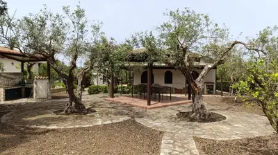 a garden with two trees in front of a house at Villa Il Giardino di Rosa- 5 Min from the sea-Fraginesi in Castellammare del Golfo