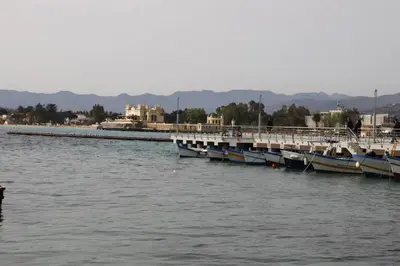 a group of boats docked at a dock in the water at Lo scarrozzo room in Palermo