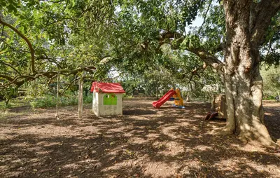 a park with a playground with a tree and a slide at Beautiful Home In Cinisi With Wifi in Cinisi