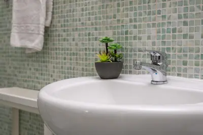 a bathroom with a sink with a potted plant on it at Quattro Canti rooms in Palermo