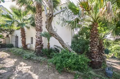 a group of palm trees in front of a building at Casa Strelizie in Terrasini