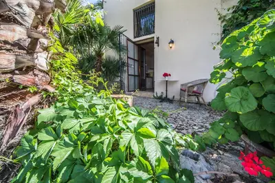 a garden with green plants in front of a building at Casa Strelizie in Terrasini