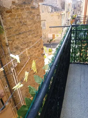 a balcony with plants on a brick wall at Donna Carmela in Porticello