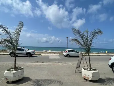 two palm trees in a parking lot next to the ocean at Soleada Club in Campofelice di Roccella