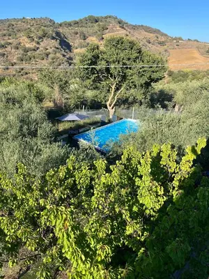a swimming pool in the middle of a field of trees at Villino Anna e Pippino in Calatafimi