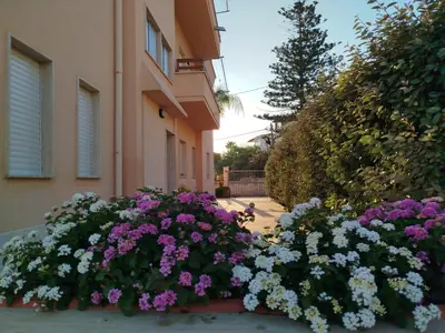 a bunch of flowers in front of a building at Profumo di Mare 2 in Alcamo Marina