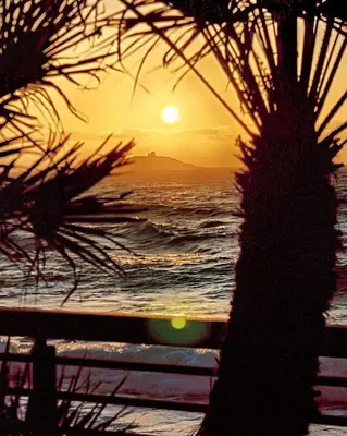 a sunset over the ocean with a palm tree at Sole e mare 1 in Isola delle Femmine